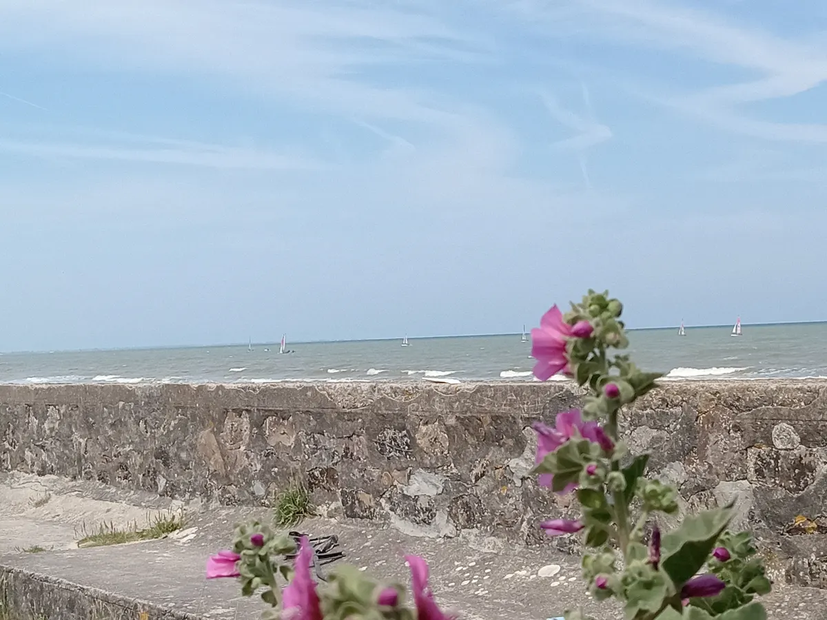gite 50m de la plage