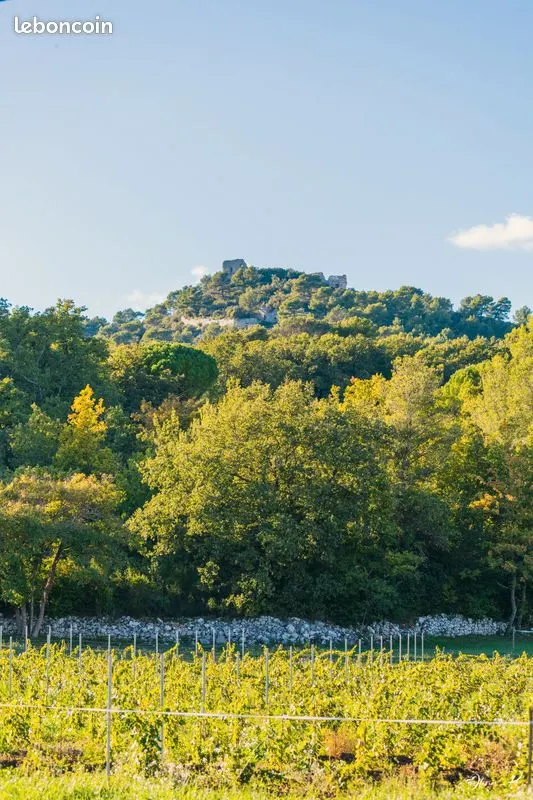 VAR NANS LES PINS Très Beau Studio climatisé avec jardin parking et accès piscine